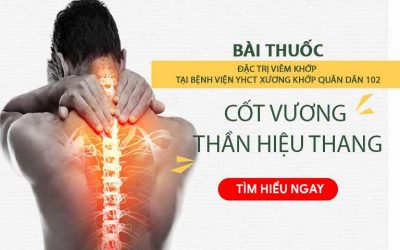 Bài thuốc Cốt Vương thần hiệu thang đặc trị bệnh viêm khớp
