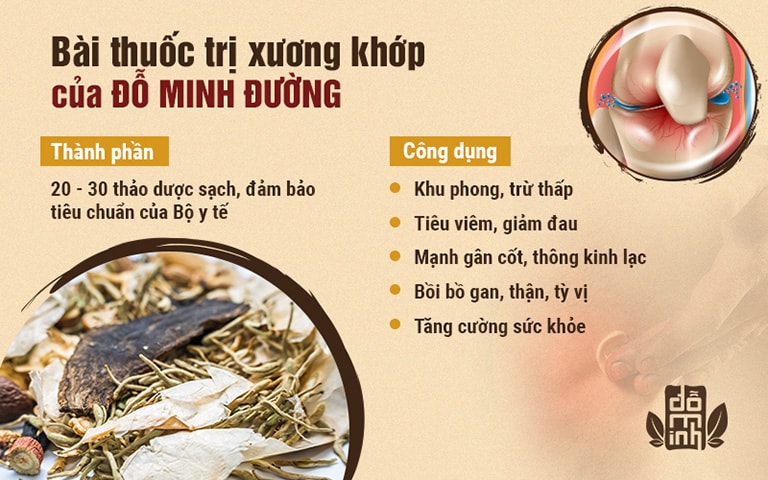 Bài thuốc chữa thoái hóa khớp Xương khớp Đỗ Minh Đường