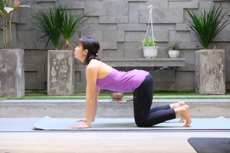 Tập yoga tư thế con bò thúc đẩy quá trình lưu thông máu giúp chắc xương